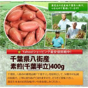【素煎・千葉半立400g】 千葉県八街産落花生の詳細画像1