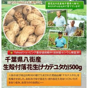 【未調理なまカラ付落花生・ナカテユタカ500g...の詳細画像1