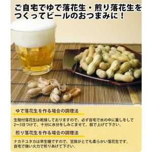 【未調理なまカラ付落花生・ナカテユタカ500g...の詳細画像4