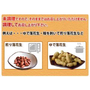 【未調理なまカラ付落花生・ナカテユタカ500g...の詳細画像5