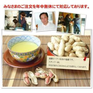 【煎ざや・ナカテユタカ220g】千葉県八街産落花生の詳細画像5