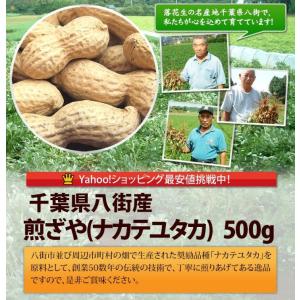 【煎ざや・ナカテユタカ500g】千葉県八街産落花生の詳細画像1