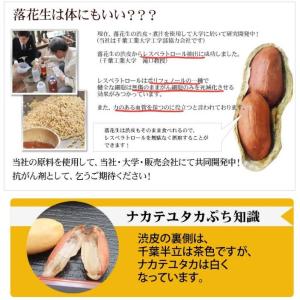 【煎ざや・ナカテユタカ500g】千葉県八街産落花生の詳細画像4