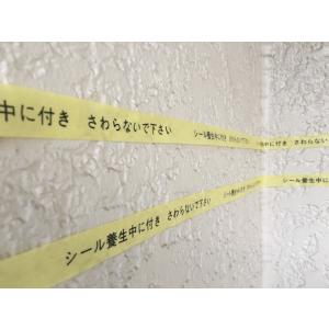 カモ井加工紙　3303　シール養生中 案内表示マスキングテープ　21mmX18m巻　1パック