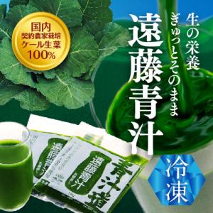 遠藤青汁 青汁  乳酸菌 無添加 国産 ケール 100％ 冷凍 生タイプ 100ｇ×28袋セット 小袋