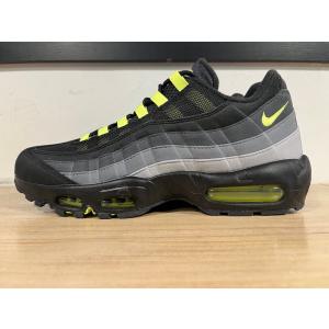 【海外限定モデル】NIKE AIR MAX 9...の詳細画像1