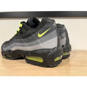 【海外限定モデル】NIKE AIR MAX 9...の詳細画像5