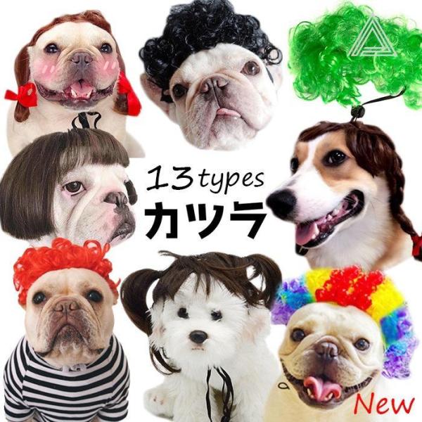 犬 猫 ハロウィン カツラ コスプレ パーマ アフロ おもしろグッズ 変装 フレンチブルドッグ ペッ...