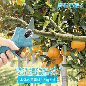 電動剪定ばさみ剪定バサミ枝切ばさみ枝切りバサミ...の詳細画像4