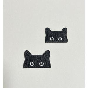 Pokemon（ポケモン） ワッペン アイロン ピカチュウ 大きいサイズ