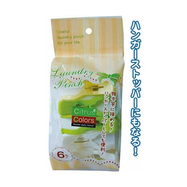 Citrus Colors ワイド竿キャッチピンチ6個入 〔12個セット〕 38-809【商工会会員...