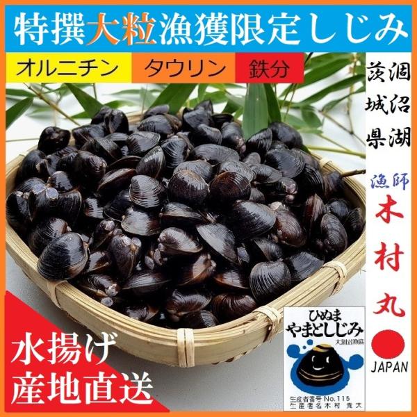 大中小粒ミックスしじみ 茨城県産直送 日本三大しじみ 冷凍しじみ1kg ひぬま川 涸沼湖 しじみ汁 ...