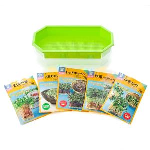 スプラウト 栽培 容器の商品一覧 通販 Yahoo ショッピング