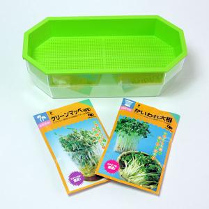 スプラウト 栽培 容器の商品一覧 通販 Yahoo ショッピング