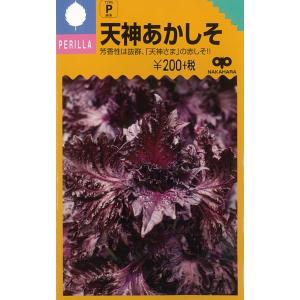 天神あかしそ 3〜6月まき・野菜タネ