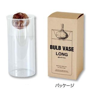 バルブベース 水栽培ガラスベース クリア ロング...の商品画像