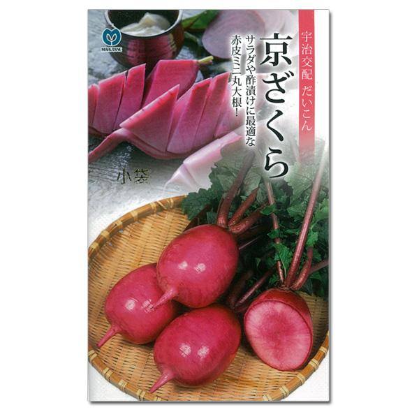ダイコン（ミニ大根） 京ざくら