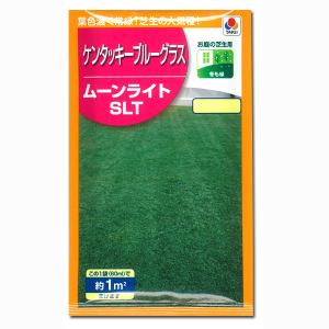 芝の種（少量パッケージ） 西洋芝ケンタッキーブルーグラス・ムーンライト（約1平米分）