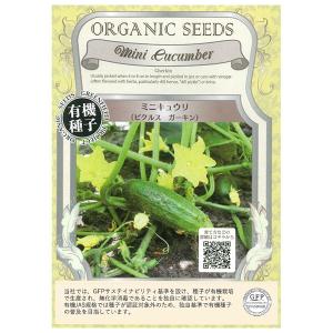 有機種子 ミニキュウリ 種 (ピクルスガーキン) Sサイズ 25粒 種蒔時期