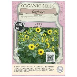 ひまわりの種 花 ガーデニング の商品一覧 通販 Yahoo ショッピング