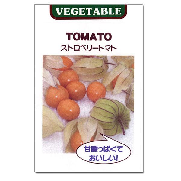 ストロベリートマトの種3袋セット（食用ほおずき　草丈150cm位） 野菜タネ