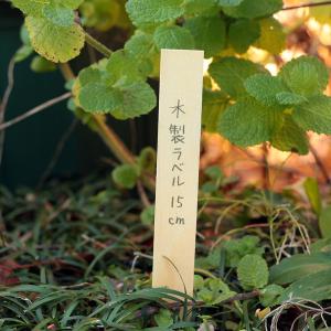 木製ラベル長さ15cm　50枚入り