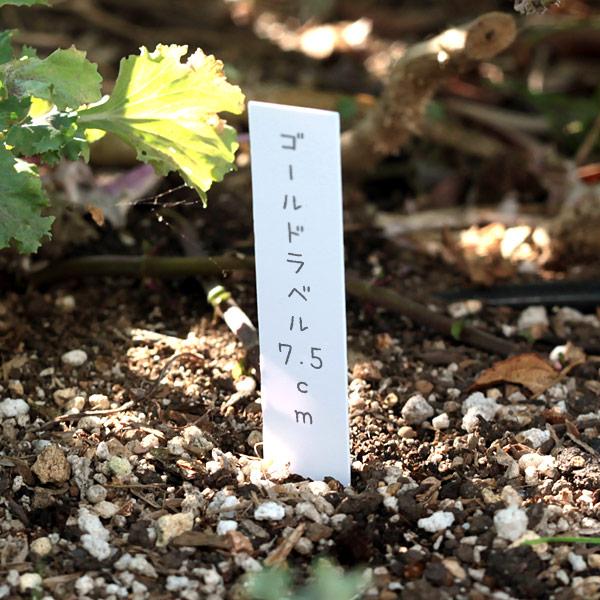 ゴールドラベル短冊型1.3cm×7.5cm 100枚入り（白）