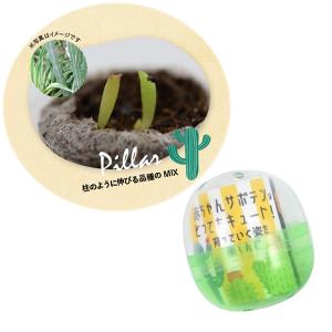 花ごころdo サボテン栽培カプセル 柱サボテンｍｉｘ 30個 ツール 道具 その他 最安値 価格比較 Yahoo ショッピング 口コミ 評判からも探せる