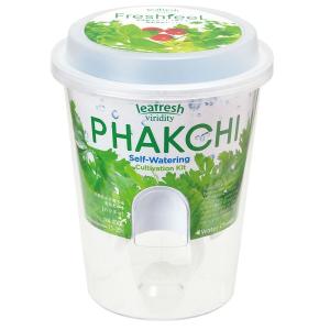 パクチー 苗の商品一覧 通販 Yahoo ショッピング