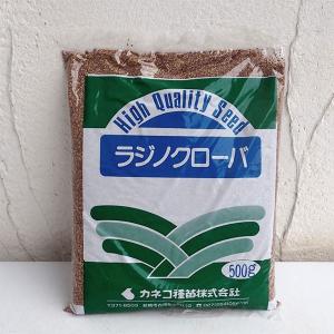 クローバータネの商品一覧 通販 Yahoo ショッピング