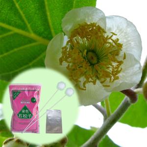 果樹の苗 キウイの花粉（キウイフルーツ受粉用） : 園芸ネット - 通販