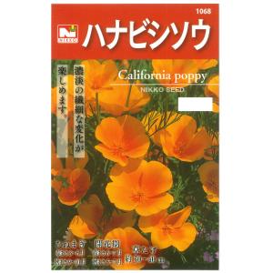 ハナビシソウの種 花タネの商品画像
