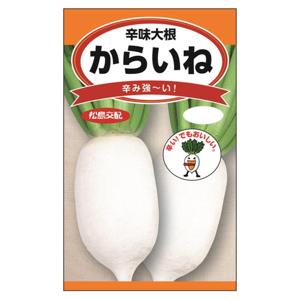 辛味大根（ダイコン） からいね 野菜タネ ダイコンのタネ