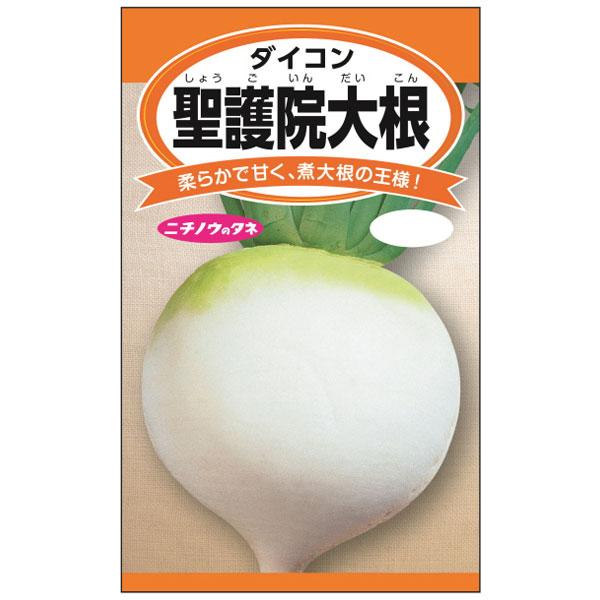 ダイコン 聖護院大根 野菜タネ