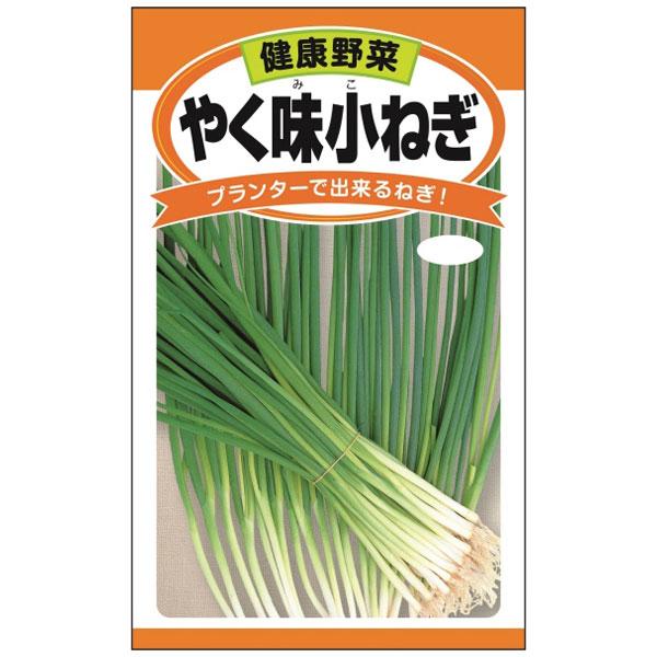 ネギ やく味小ネギ プランター栽培可能 辛味が少ない葉ネギ 野菜タネ