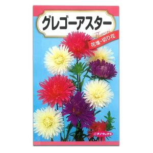 アスター グレゴーアスター 巨大輪 カクタス咲き...の商品画像