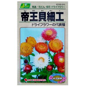 有効期限26年10月 帝王貝細工（ヘリクリサム・テイオウカイザイク） カネコ 花タネ