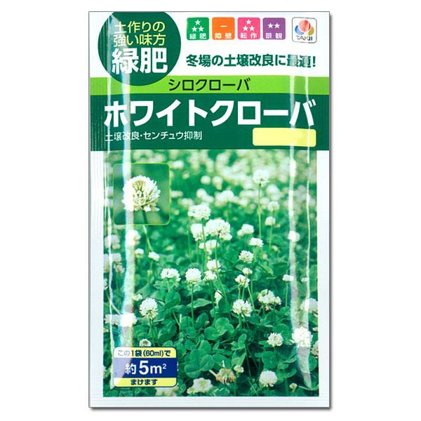 ホワイトクローバー（シロクローバー・シロツメグサ）5平米分（60ml） タネ