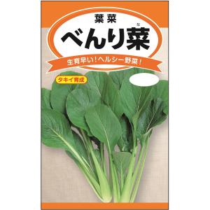 べんり菜 年中作れて調理法は色々　便利な葉物　野菜タネ｜engei