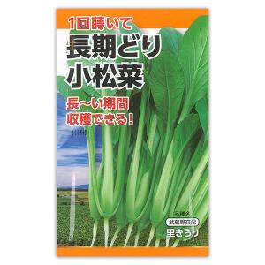 長期どり小松菜 1回蒔けば長い期間収穫できる！　厳冬以外タネまき可能｜engei