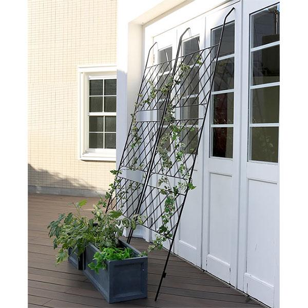 アイアン製グリーンカーテン アーガイル2枚組（幅80cm、高さ245.5cm） 送料無料