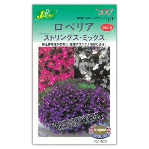 ロベリア ストリングス ミックスの種 色別分包 春 秋まき 花タネ ウィルマート