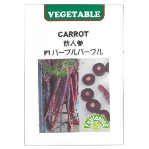 紫人参 種の商品一覧 通販 Yahoo ショッピング