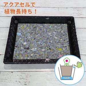 サランロック OM-150 幅1000mm 長さ2m 厚さ30mm : くればぁストア