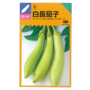白ナス 長ナス 花 ガーデニング の商品一覧 通販 Yahoo ショッピング
