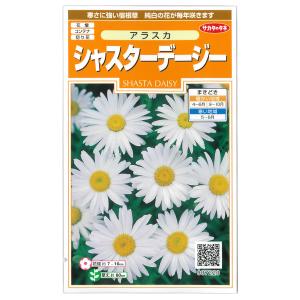 シャスターデージー 種 種子 の商品一覧 花 ガーデニング 通販 Yahoo ショッピング