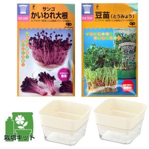 スプラウト 栽培 容器の商品一覧 通販 Yahoo ショッピング