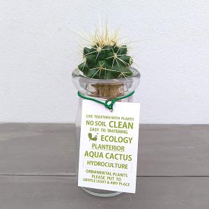 サボテンの土 サボテン 多肉植物 の商品一覧 花 ガーデニング 通販 Yahoo ショッピング