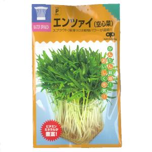 有効期限26年03月 モヤシの種（スプラウト栽培用） エンツァイ（あさがお菜） タネ