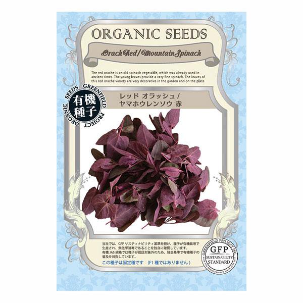 （わけあり特価） 有効期限25年11月 野菜の種 レッド オラッシュ ヤマホウレンソウ（赤） タネ